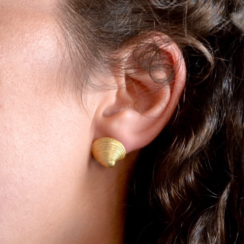 Clam stud Earrings