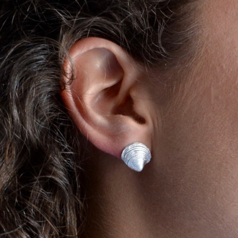 Clam stud Earrings
