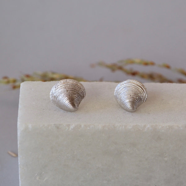 Clam stud Earrings