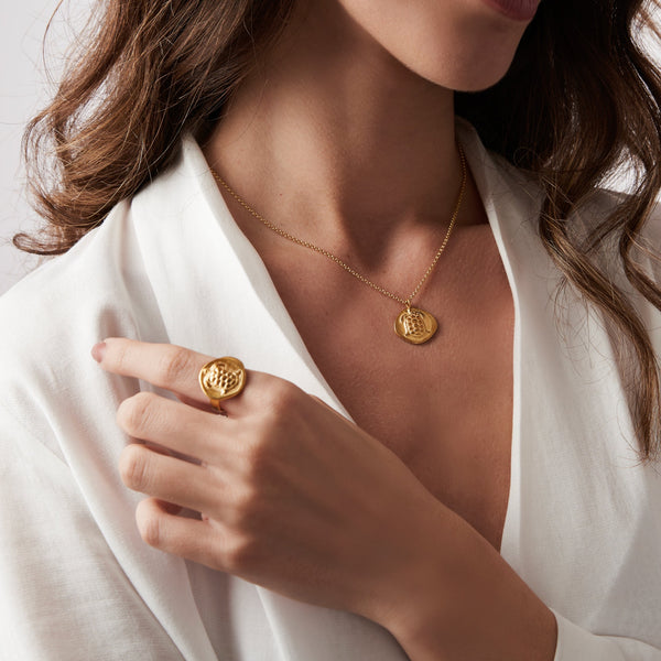 Turtle Ancient Greek Coin - Gold Plated Silver Ring