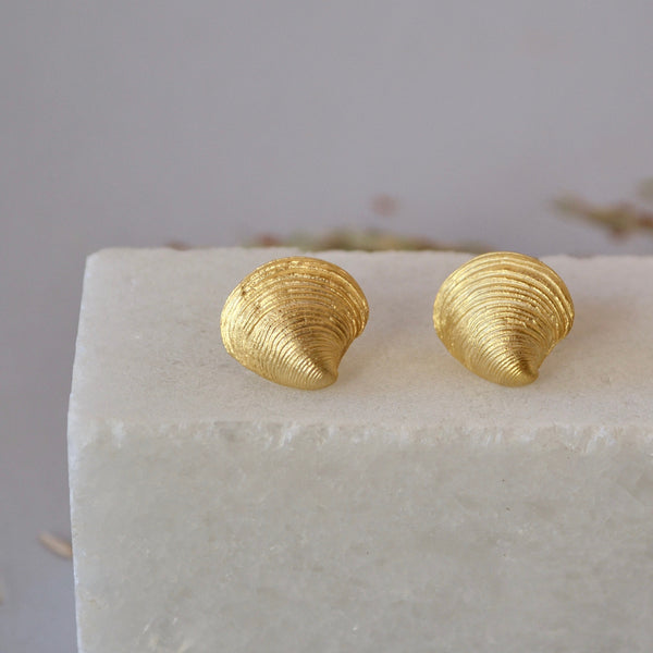 Clam stud Earrings