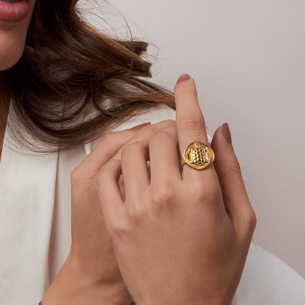 Turtle Ancient Greek Coin - Gold Plated Silver Ring